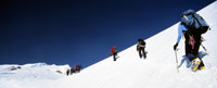 Strategex Business Solutions Facilitating Team Building